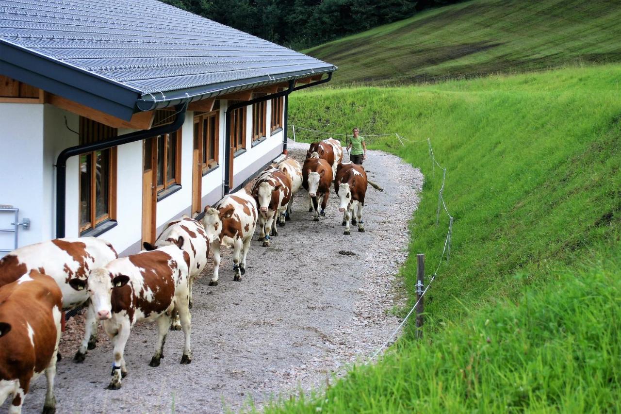 Schartlhof Vila Flachau Exterior foto