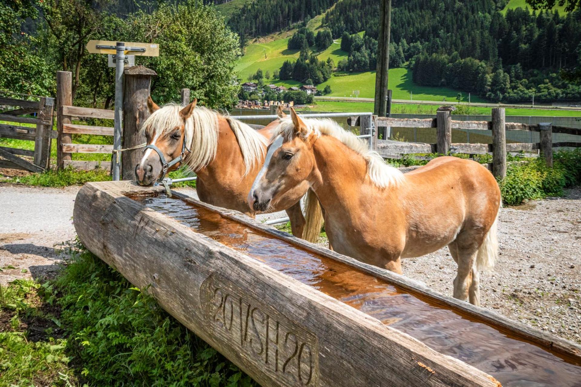 Schartlhof Vila Flachau Exterior foto