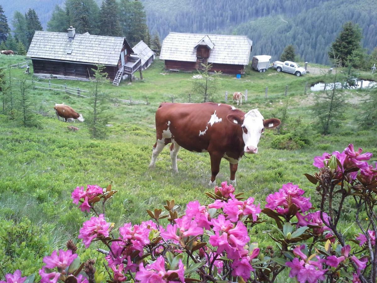 Schartlhof Vila Flachau Exterior foto